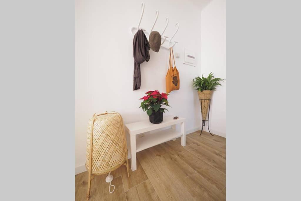 Apartaments Sa Calm Sant Miquel de les Formigues Sant Hilari Sacalm Extérieur photo